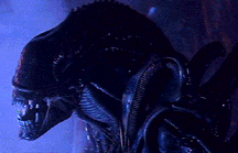 alien2.gif (20164 bytes)
